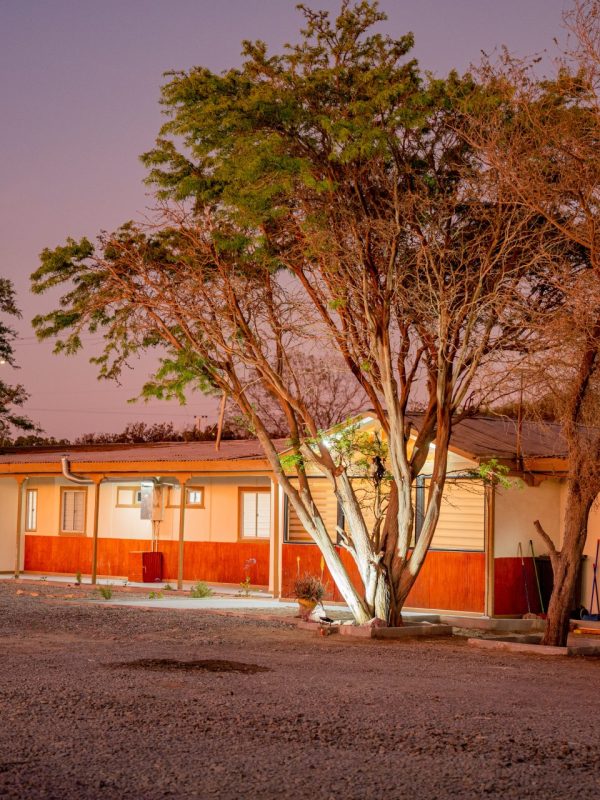 #5-Exterior Ave Roja