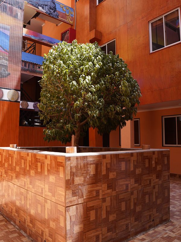 hotel san pedro (20)