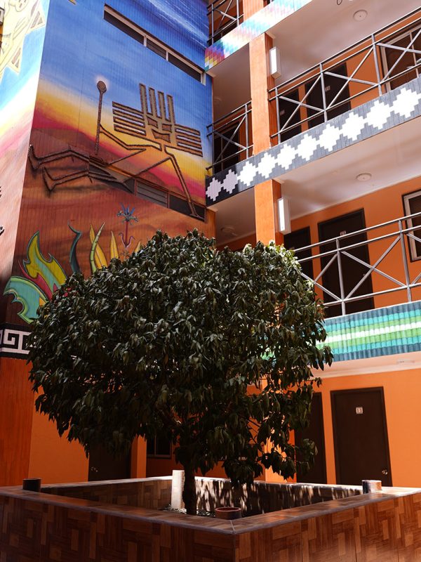 hotel san pedro (21)
